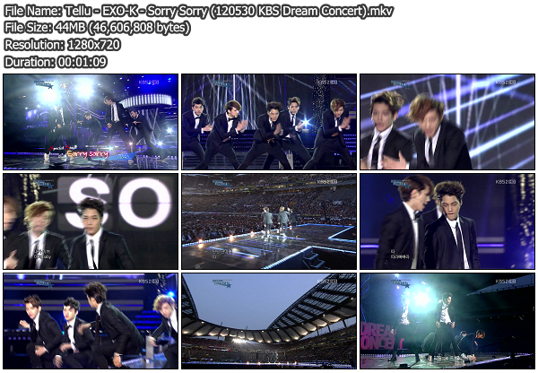 exo k sorry sorry