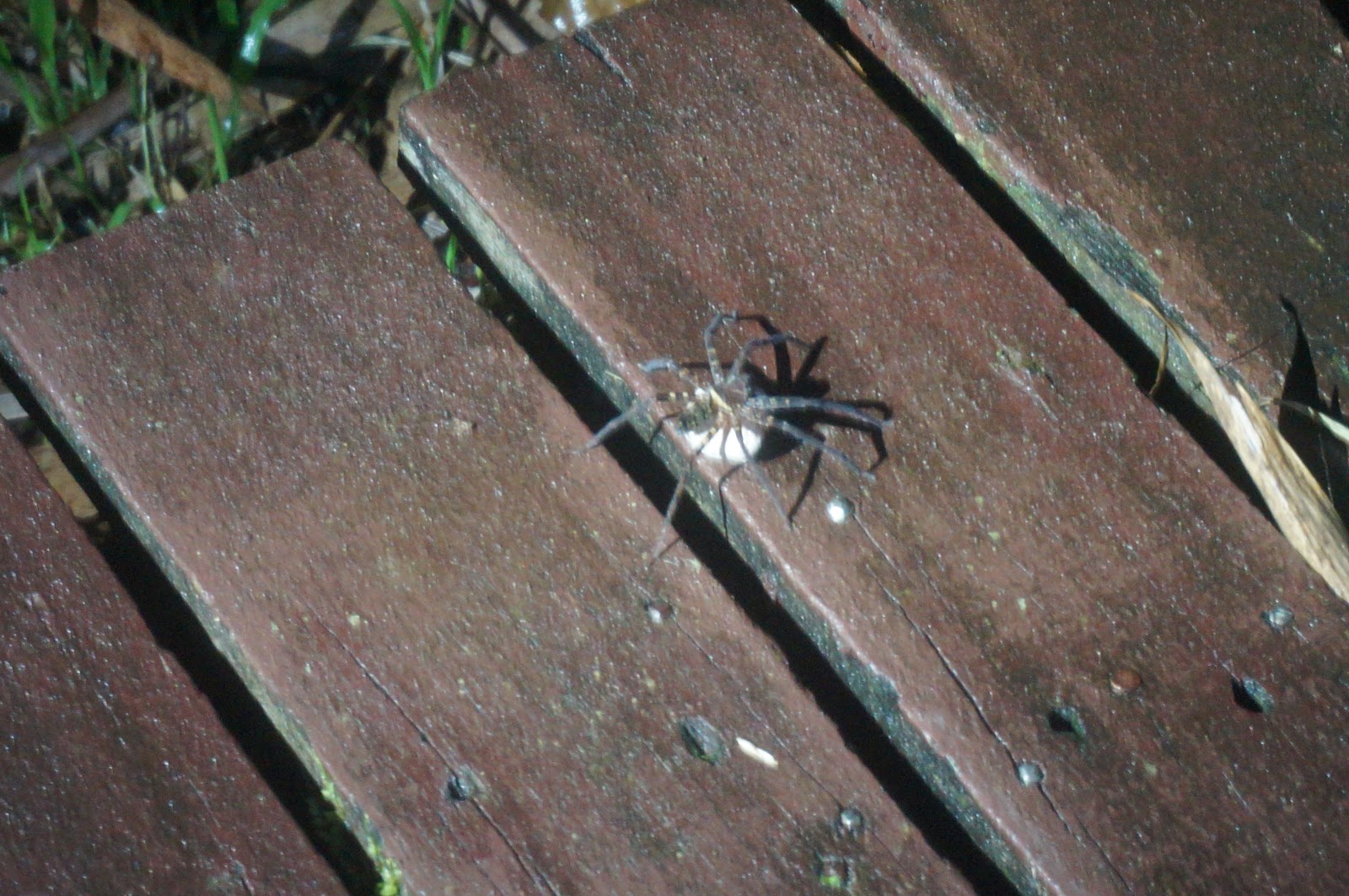 DSC08821.JPG