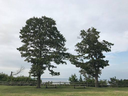 Tourist Attraction «Sands Point Preserve», reviews and photos, 127 Middle Neck Rd, Sands Point, NY 11050, USA
