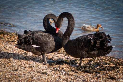 Titchfield Haven National Nature Reserve