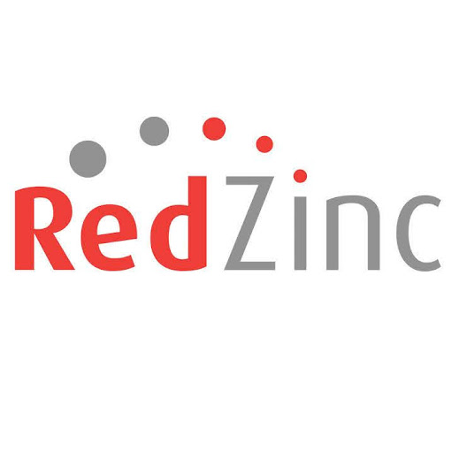 RedZinc Services Ltd