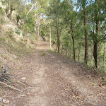 Georges Road Walking Trail (361613)