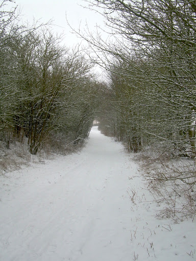 On the Icknield Way