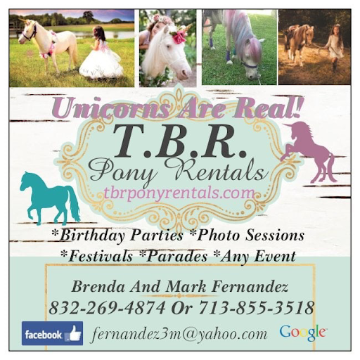 Tabanitos Pony Rentals logo