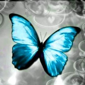 Image pertaining to EVI VALS