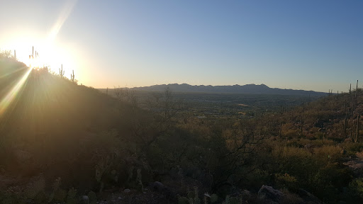 Tourist Attraction «Linda Vista Trail», reviews and photos, 730 E Linda Vista Rd, Oro Valley, AZ 85737, USA