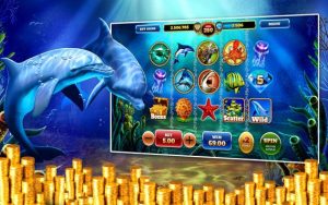 Dolphin slot – the cool option for you in the coming summer