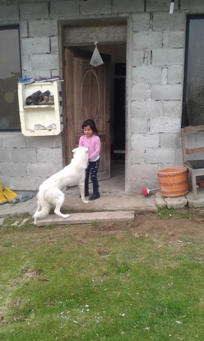 Photos of Inlliyaku S.A