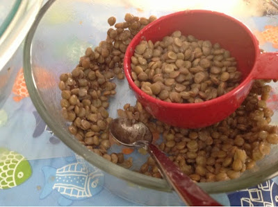 lentils with a measuring cup
