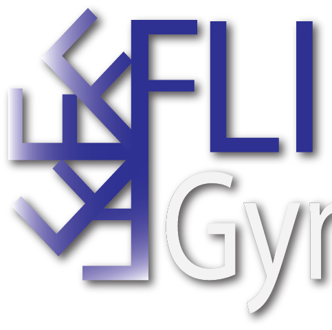 Flipside Gymnastics logo