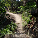 Trackwork ahead (156946)