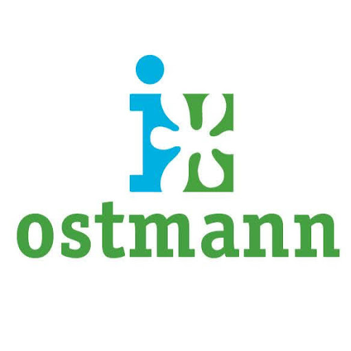 Blumen Ostmann GmbH Wildeshausen logo