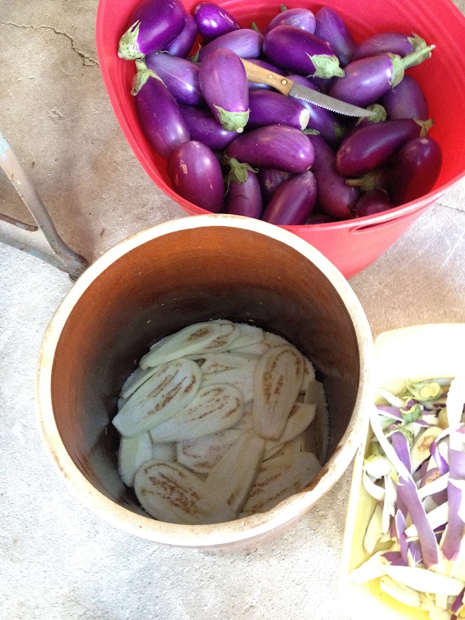 Raw ingredients for Pickled Eggplant (Melanzane Sott’Olio) - including eggplant and salt.