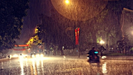 Thu và ký ức buồn trong đôi mắt trẻ