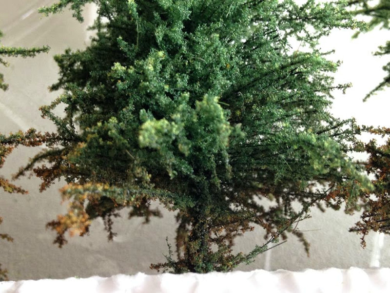 végétation, arbre… >>   produits du commerce  << IMG_3288