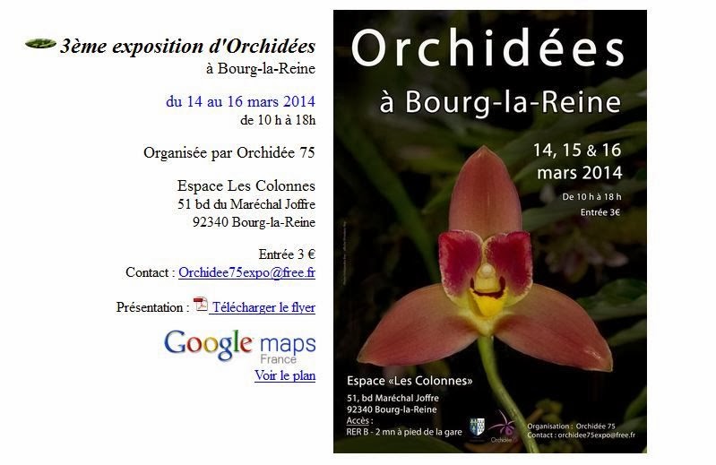 Bourg la reine 2014 en région parisienne - 14 au 16 mars  Orchidees%2520bourg