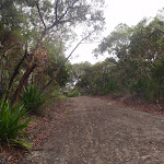 Heading up the poweline service trail (113581)