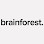 brainforest. logotyp