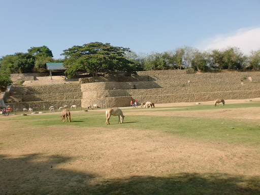 Baluarte