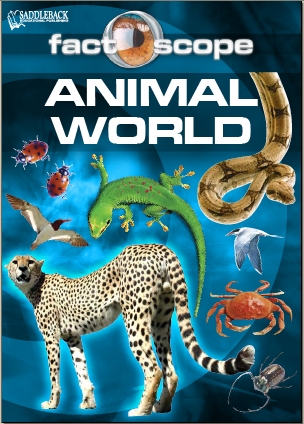 A Year in the World of Dinosaurs by Elizabeth Havercroft PDF eBook