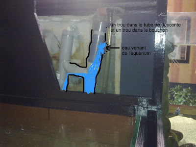 Paludarium/Aquaterrarium/Terrarium humide de Patrice_B (Nouveau projet) - Page 2 Descente%2520aqua