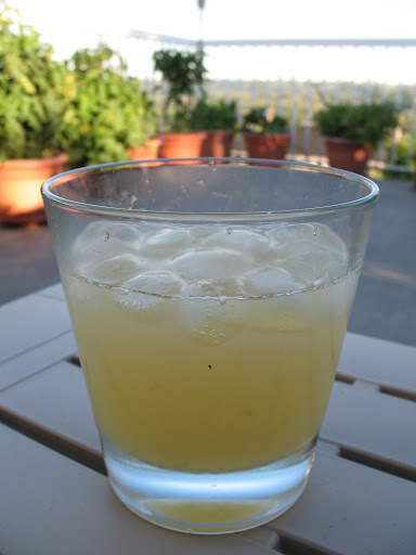 Smoked Lemonade w/ Tequila ... or Gin ... I forget