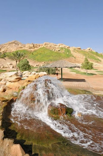 Green Mubazzarah Hot Springs, Abu Dhabi - United Arab Emirates, Landscaper, state Abu Dhabi