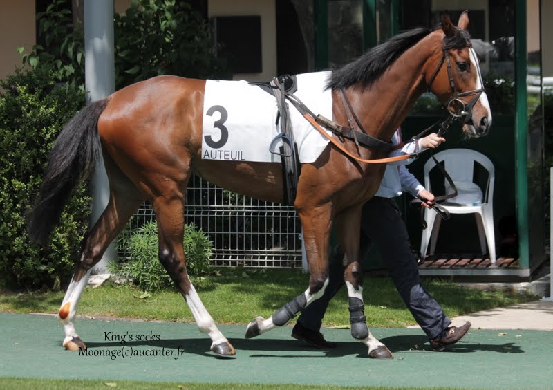 Photos Auteuil 7-06-2015 Journée Grande Course de Haies IMG_1289