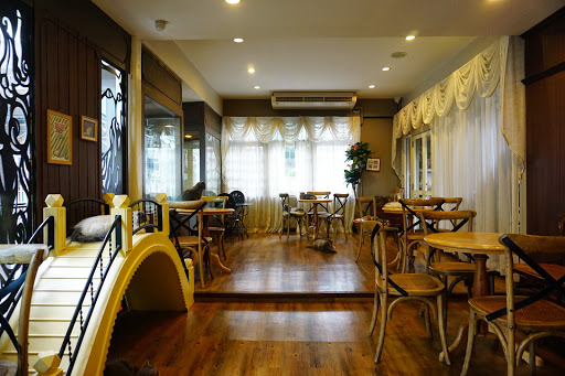 Purr Cat Cafe Club