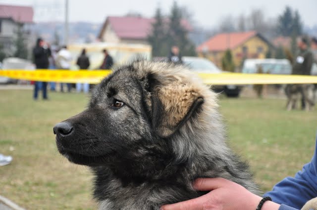DSC_0276.JPG