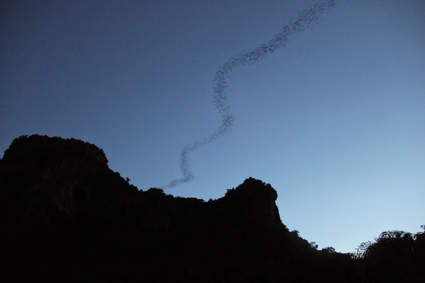 Испытание отпуском. Ноябрь 2014