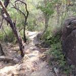 Rocky section of track east of Kariong Brook (196919)