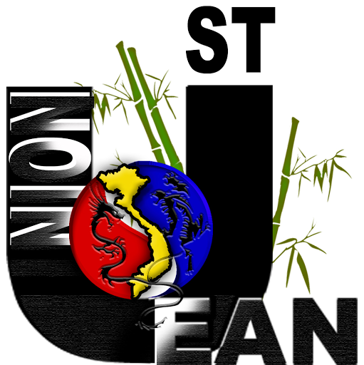 Vovinam Viet Vo Dao Union Saint-Jean logo