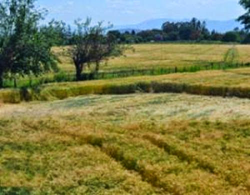 Crop Circles In Chicoana The Repeating Phenomena