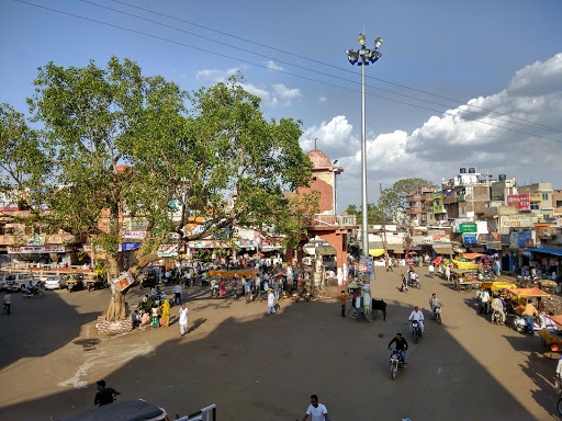 Gandhi Park Square, Station Road, Subhash Gunj, Ashoknagar, Madhya Pradesh 473331, India, Park_and_Garden, state MP