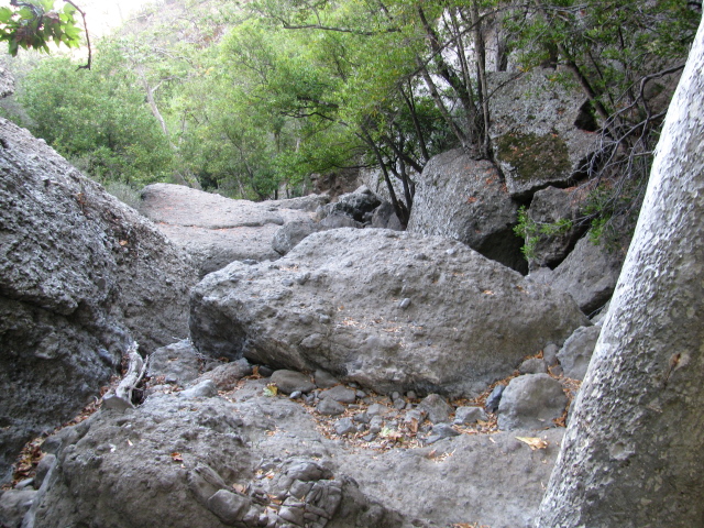 the boulder strewn stream bed