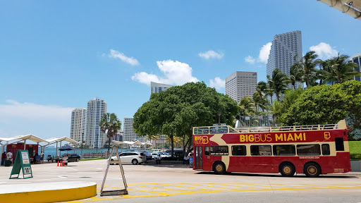 Big Bus Tours Miami