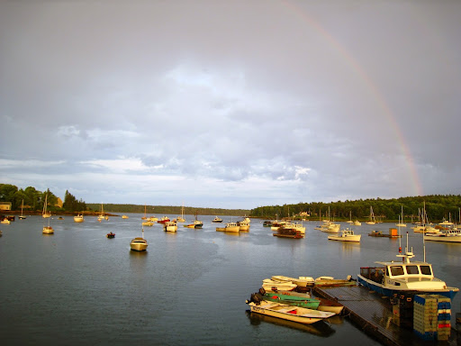 Muscongus Bay Lobster