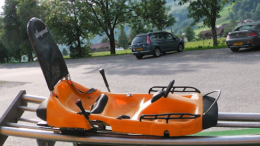 Alpsee Bergwelt