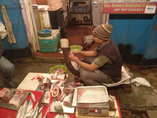 Bimal Fish Shop, Shop No B 1/116 Near Metro Pillar No -165, New Ashok Nagar, Delhi 110096, India, Fishing_shop, state UP