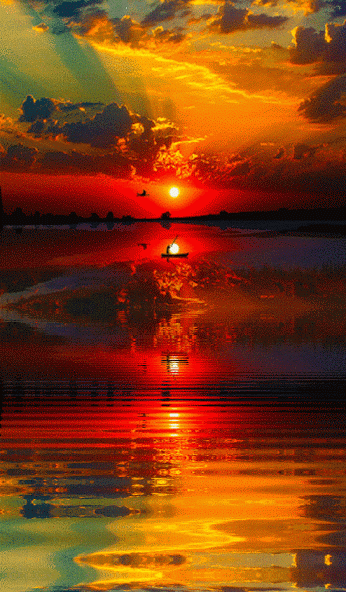 01_10_14%2B-%2B1%2B%25281%2529.gif