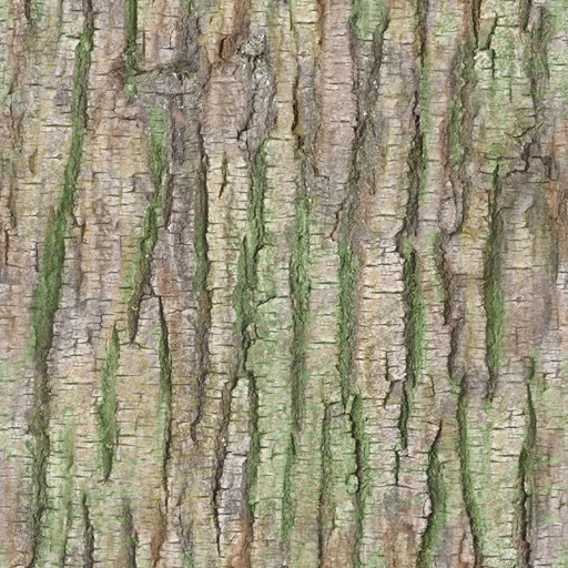 treeBarkTexture