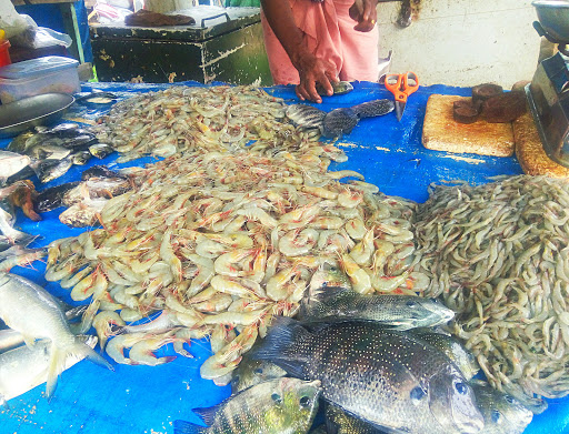 Nayarambalam Fish Market, Nedungad Road, Nayarambalam, Vypin, Kerala 682509, India, Seafood_Market, state KL