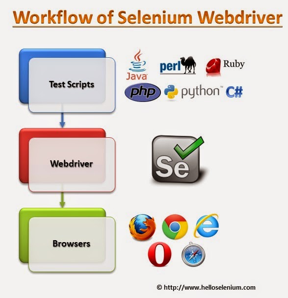 WHAT IS WORKFLOW OF SELENIUM WEBDRIVER?