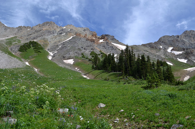 spires of rock behind a bunch of pine trees