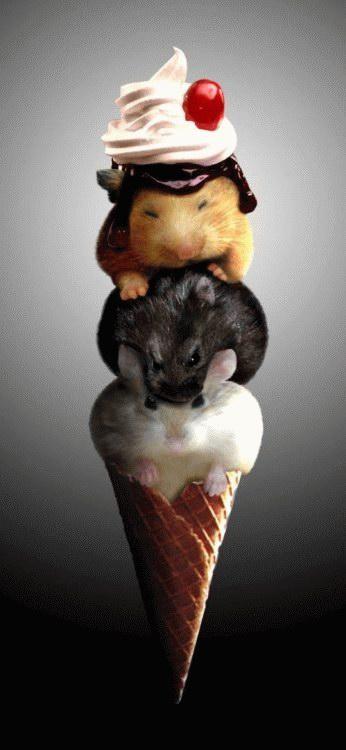 100-Amazing-&-Cool-Funny-Pictures-89 Image alt tage here