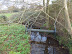 River Mul near Swardeston Common