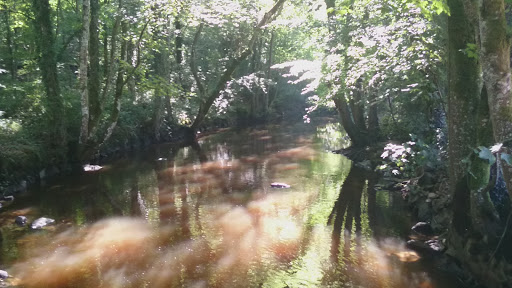 Vallée du Cousin