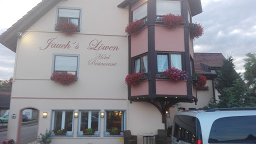 Jauch's Löwen
