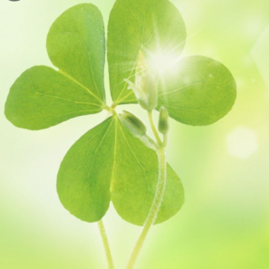 Thanh Le - Address, Phone, Public Records - Radaris